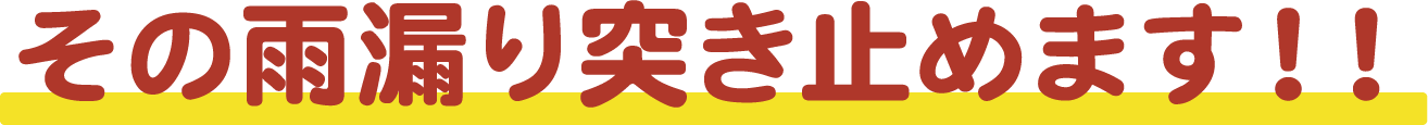 その雨漏り突き止めます!!