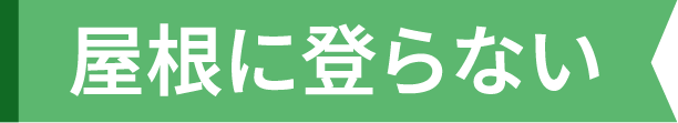 屋根に登らない